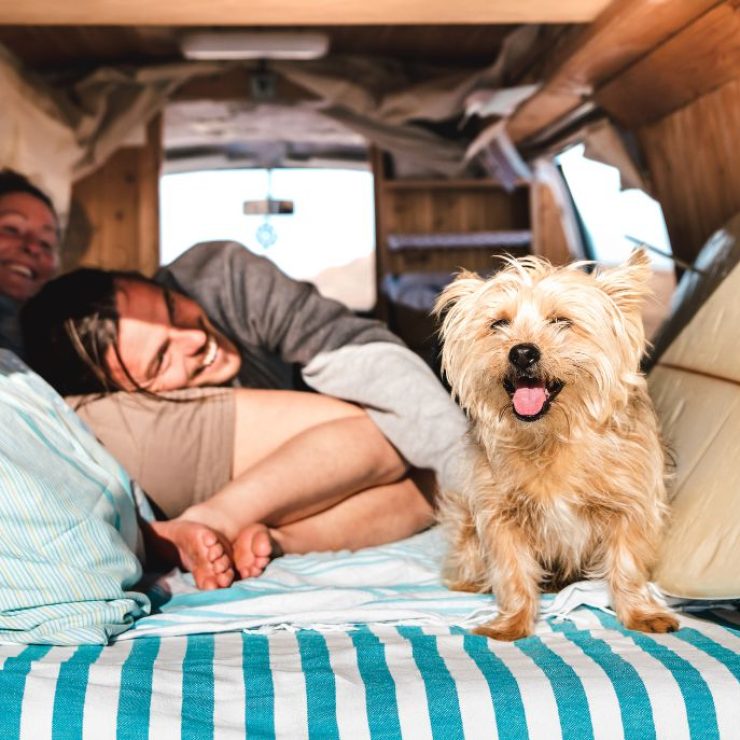 How To Budget For Your Big Lap Around Australia