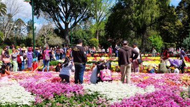 10 Queensland Events You Simply Need To Check Out!