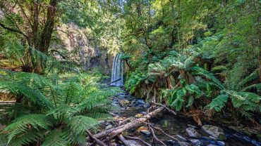7 Free Camps In Victoria You Should Check Out
