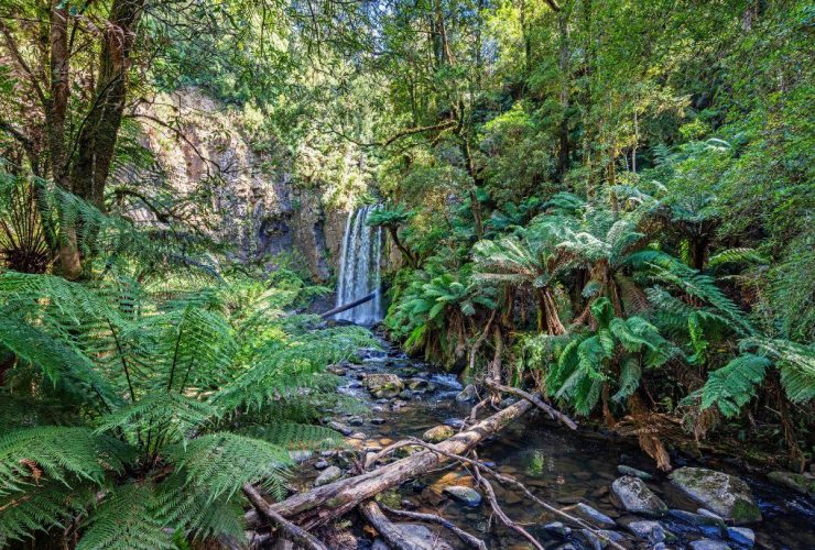 7 Free Camps In Victoria You Should Check Out