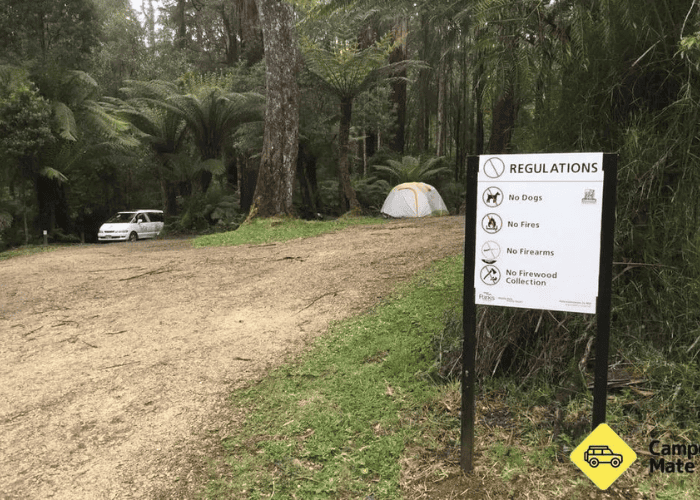 Aire Crossing Campground, Great Otway National Park
