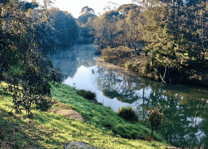 Berrima Reserve, Berrima