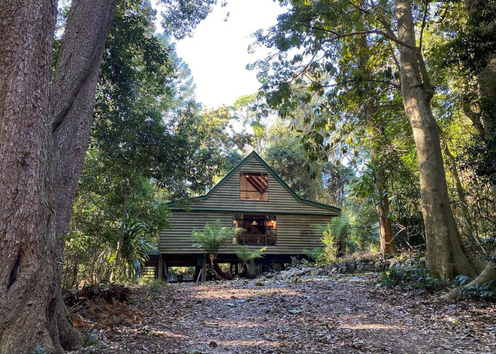 Bunya Mountains National Park, Bunya Mountain