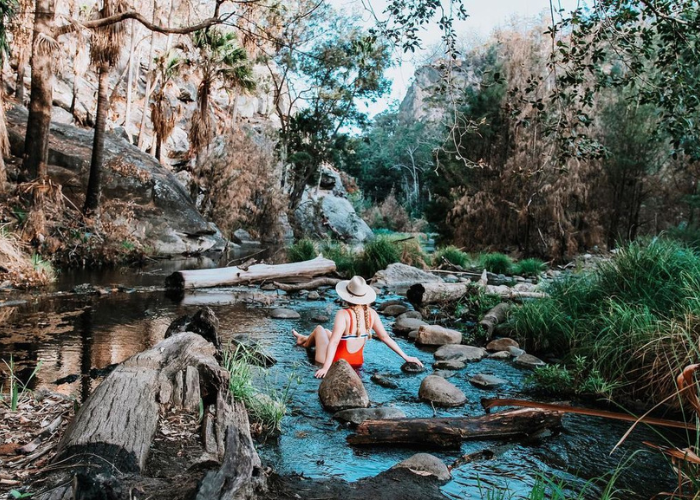 Carnarvon Gorge, Carnarvon National Park