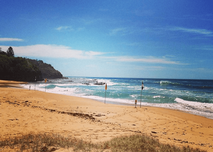 Coledale Camping Reserve, Coledale