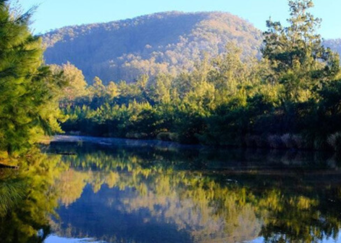 Ellenborough Reserve, Ellenborough