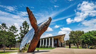Everything You’ll Want To Do Between Brisbane and Cairns