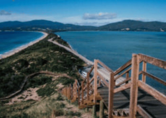 Jetty Campground, South Bruny Island (1)