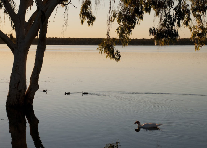 Lake Elphinstone Free Camping Area, Glenden