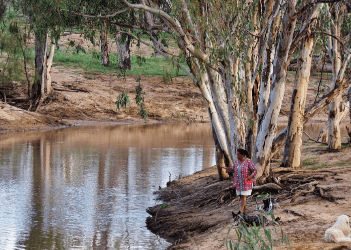 Lloyd Jones Weir Riverside Reserve Camping Area, Barcaldine