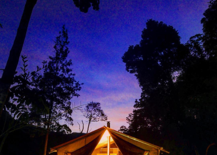 Nightfall Wilderness Camp, Lamington National Park
