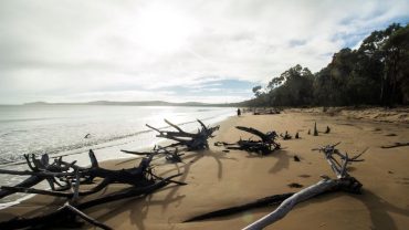 Top Free Camps In Queensland