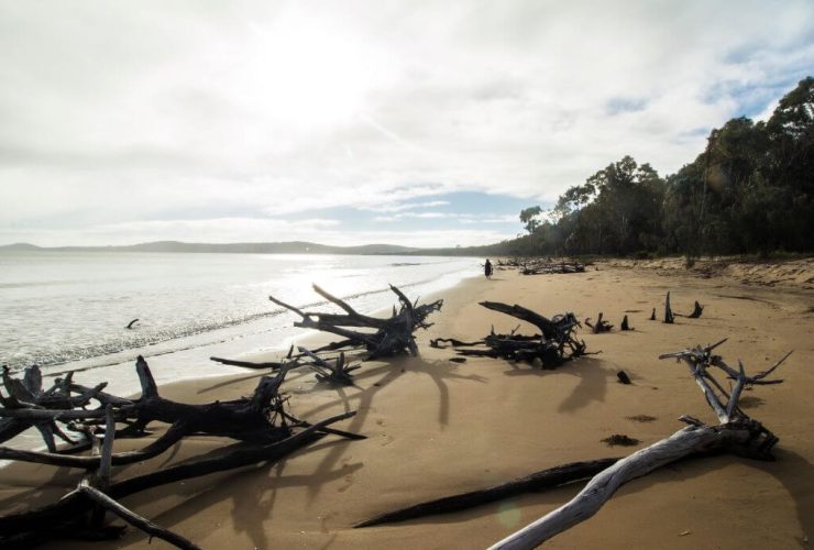 Top Free Camps In Queensland