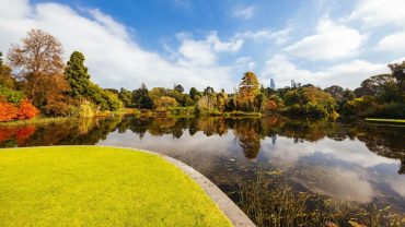 Top Things To Do In Victoria (Free & Paid)