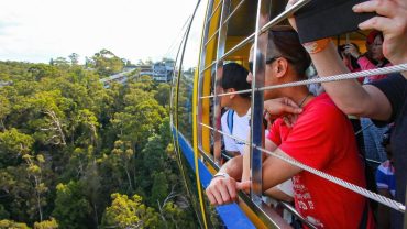 Top Things In NSW That You Need To Do (Free & Paid)
