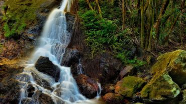 8 Incredible Sunshine Coast Experiences To Have On Your Big Lap