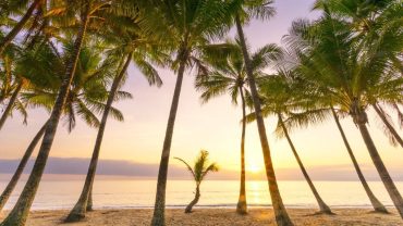 8 Incredible Cairns & Tablelands Experiences  To Have On Your Big Lap