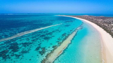 6 Incredible Australia’s Coral Coast Experiences To Have On Your Big Lap