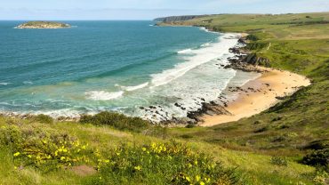 6 Incredible Fleurieu Peninsula Experiences To Have On Your Big Lap