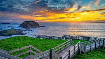 7 Incredible Phillip Island & Bass Coast Experiences To Have On Your Big Lap