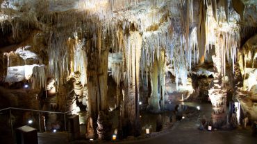 8 Incredible Limestone Coast Experiences To Have On Your Big Lap