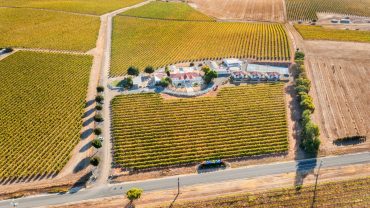 9 Incredible Barossa Valley Experiences To Have On Your Big Lap