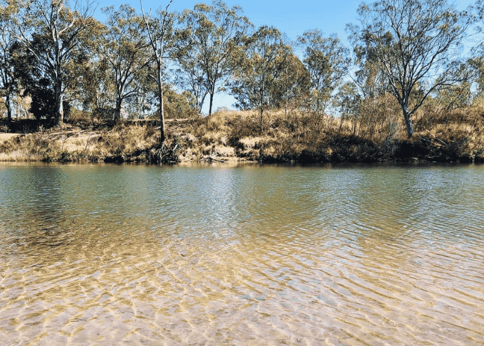 Calliope River Camp