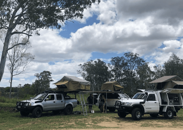 Calliope River South Rest Area