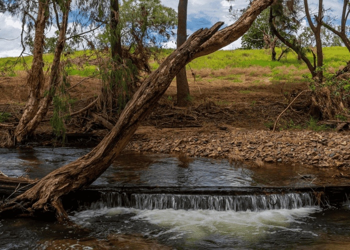 Fanning River Fanning River