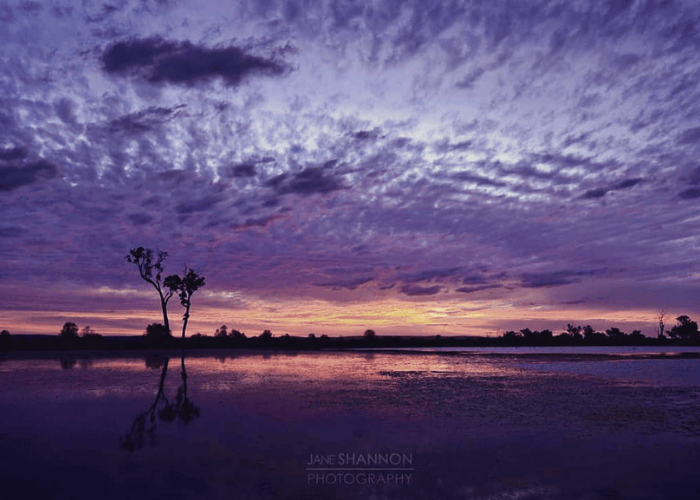 Lake Victoria