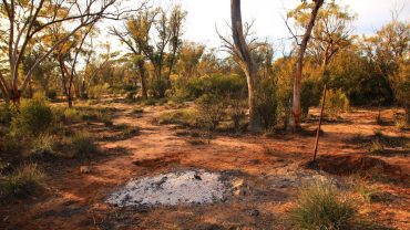 19 Free Camps You Need To Know About In The Capricorn Region