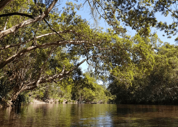 Dalrymple Creek Park