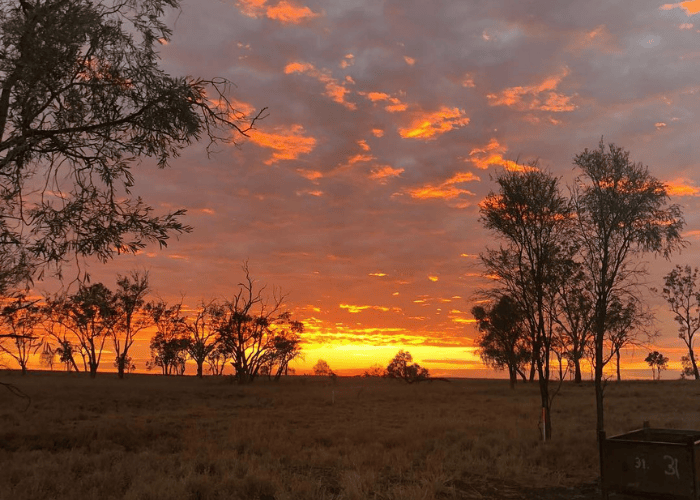 Lilyvale Waterhole