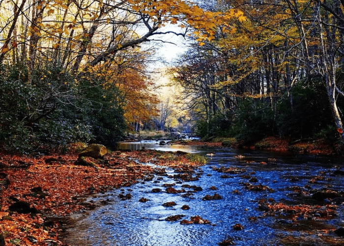 Linville_Brisbane River