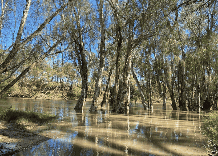 Mackenzie River Crossing