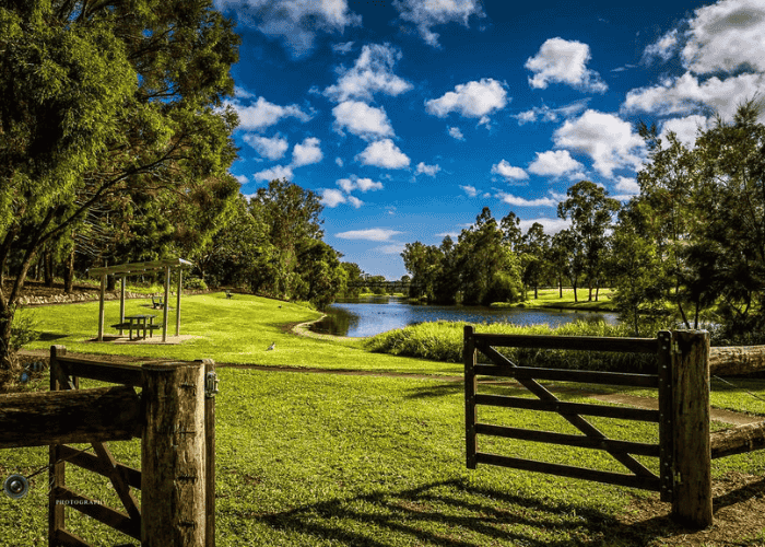 Narda Lagoon Laidley