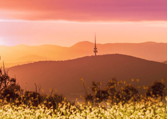 Telstra Tower Overnighter