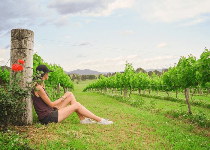 Winya Wines – Donation based
