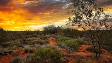 18 Free Camps You Need To Know About in Broome & The North West