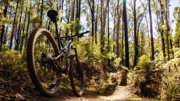16 Awesome Mountain Biking Trails In Tasmania You Must Try