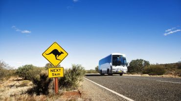 A Bus Or A Caravan? We Chose A Bus… Here’s Why!