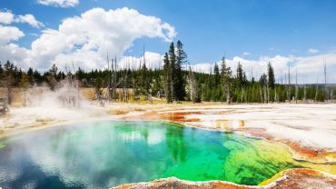15 Hot Springs In Australia You Have To Add To Your Big Lap Bucket List