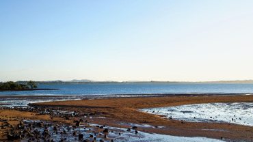 Your Ultimate Day Trip Guide To The Redlands Coast