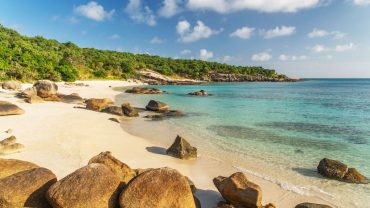 Tropical Oasis Voted The Top Travel Destination For 2021