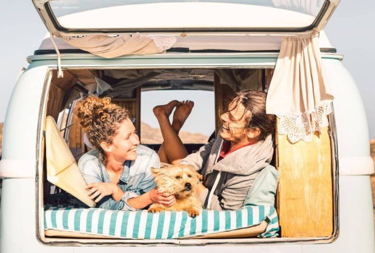 Do You Travel With Your Pet? Does It Restrict You?