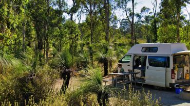 Bush camping in Australia with a campervan amidst lush greenery and tall trees.