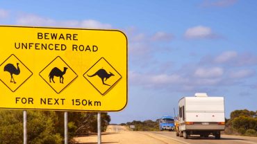 Warning sign for unfenced road and wildlife including emus, camels, and kangaroos in Australia.