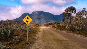 Road sign warning of kangaroos and emus in Australian outback, with mountain landscape in the backgr.