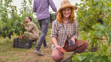Fruit Picking, Station Work & Other Jobs Along The Way