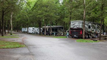 RV park with multiple caravans and motorhomes in a lush, green forest setting.